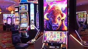 233bet